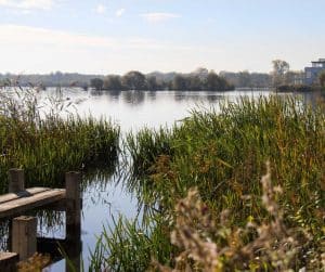 the Cotswold Lakes