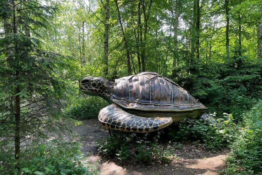 Sculpture of a Turtle at the Cotswold Sculpture Park