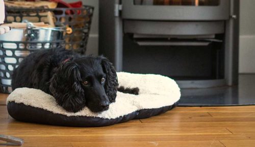 Dog laid on a bed in front of the log burner